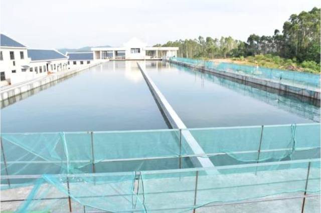 污水调节池：城市水务管理的守护者